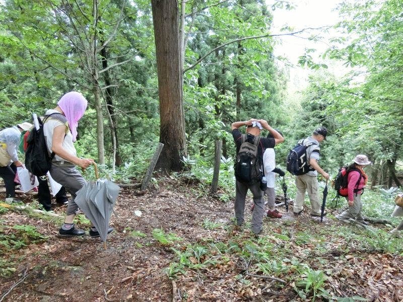 只見線、三石神社、縁結び、只見、散策、奥会津、風景、自然、体験